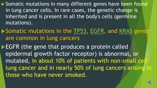 Somatic mutations in many different genes have been found
in lung cancer cells. In rare cases, the genetic change is
inherited and is present in all the body's cells (germline
mutations).
Somatic mutations in the TP53, EGFR, and KRAS genes
are common in lung cancers
EGFR (the gene that produces a protein called
epidermal growth factor receptor) is abnormal, or
mutated, in about 10% of patients with non-small cell
lung cancer and in nearly 50% of lung cancers arising in
those who have never smoked.
 