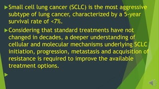 Small cell lung cancer (SCLC) is the most aggressive
subtype of lung cancer, characterized by a 5-year
survival rate of <7%.
Considering that standard treatments have not
changed in decades, a deeper understanding of
cellular and molecular mechanisms underlying SCLC
initiation, progression, metastasis and acquisition of
resistance is required to improve the available
treatment options.
 