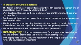 In broncho-pneumonia pattern :
The foci of inflammatory consolidation distributed in patches throughout one or
several lobes most frequently bilateral & basal .
Well-developed lesions 3 or 4 cm. in diameter are slightly elevated & are gray –
red to yellow .
Confluence of these foci may occur in severe cases producing the appearance of
lobar consolidation .
The lung substance surrounding the areas of consolidation is usually hyperemic
& edematous , but the larger intervening areas are generally normal
Pleural involvement is less common than in lobar pneumonia .
Histologically : The reaction consists of focal suppurative exudate that
fills the bronchi , bronchioles and the adjacent alveolar spaces .
With appropriate therapy complete restitution of the lung is the rule for both
forms of pneumococcal pneumonia .
 