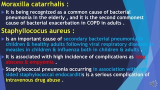 Moraxilla catarrhalis :
It is being recognized as a common cause of bacterial
pneumonia in the elderly , and it is the second commonest
cause of bacterial exacerbation in COPD in adults .
Staphyllococus aureus :
Is an important cause of secondary bacterial pneumonia in
children & healthy adults following viral respiratory diseases as
measles in children & influenza both in children & adults .
It is associated with high incidence of complications as lung
abscess & empyemia .
Staphylococcal pneumonia occurring in association with right
sided staphylococcal endocarditis is a serious complication of
intravenous drug abuse .
 