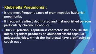 Klebsiella Pneumonia :
Is the most frequent cause of gram negative bacterial
pneumonia.
It frequently affect debilitated and mal nourished persons
particularly chronic alcoholics .
Thick & gelatinous sputum is characteristic because the
micro organism produces an abundant viscid capsular
polysaccharides, which the individual have a difficulty to
cough out .
 