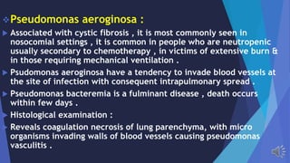 Pseudomonas aeroginosa :
Associated with cystic fibrosis , it is most commonly seen in
nosocomial settings , it is common in people who are neutropenic
usually secondary to chemotherapy , in victims of extensive burn &
in those requiring mechanical ventilation .
Psudomonas aeroginosa have a tendency to invade blood vessels at
the site of infection with consequent intrapulmonary spread .
Pseudomonas bacteremia is a fulminant disease , death occurs
within few days .
Histological examination :
Reveals coagulation necrosis of lung parenchyma, with micro
organisms invading walls of blood vessels causing pseudomonas
vasculitis .
 