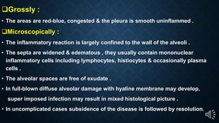 Grossly :
The areas are red-blue, congested & the pleura is smooth uninflammed .
Microscopically :
The inflammatory reaction is largely confined to the wall of the alveoli .
The septa are widened & edematous , they usually contain mononuclear
inflammatory cells including lymphocytes, histiocytes & occasionally plasma
cells .
The alveolar spaces are free of exudate .
In full-blown diffuse alveolar damage with hyaline membrane may develop,
super imposed infection may result in mixed histological picture .
In uncomplicated cases subsidence of the disease is followed by resolution.
 