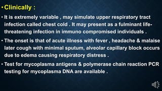 Clinically :
It is extremely variable , may simulate upper respiratory tract
infection called chest cold . It may present as a fulminant life-
threatening infection in immuno compromised individuals .
The onset is that of acute illness with fever , headache & malaise
later cough with minimal sputum, alveolar capillary block occurs
due to edema causing respiratory distress .
Test for mycoplasma antigens & polymerase chain reaction PCR
testing for mycoplasma DNA are available .
 