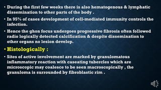 During the first few weeks there is also hematogenous & lymphatic
dissemination to other parts of the body .
In 95% of cases development of cell-mediated immunity controls the
infection.
Hence the ghon focus undergoes progressive fibrosis often followed
radio logically detected calcification & despite dissemination to
other organs no lesion develop.
Histologically :
Sites of active involvement are marked by granulomatous
inflammatory reaction with caseating tubercles which are
microscopic may coalesce to be seen macroscopically , the
granuloma is surrounded by fibroblastic rim .
 