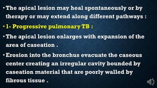 The apical lesion may heal spontaneously or by
therapy or may extend along different pathways :
1- Progressive pulmonary TB :
The apical lesion enlarges with expansion of the
area of caseation .
Erosion into the bronchus evacuate the caseous
center creating an irregular cavity bounded by
caseation material that are poorly walled by
fibrous tissue .
 