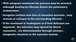 With adequate treatment the process may be arrested
although healing by fibrosis distort the pulmonary
architecture .
Irregular cavities now free of caseation necrosis , may
remain or collapse in the surrounding fibrosis .
If the treatment is inadequate or if host defenses are
impaired , the infection may spread by direct
expansion , via dissemination through airways ,
lymphatic channels or the vascular system .
 