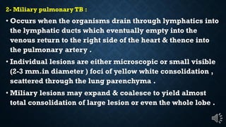 2- Miliary pulmonary TB :
Occurs when the organisms drain through lymphatics into
the lymphatic ducts which eventually empty into the
venous return to the right side of the heart & thence into
the pulmonary artery .
Individual lesions are either microscopic or small visible
(2-3 mm.in diameter ) foci of yellow white consolidation ,
scattered through the lung parenchyma .
Miliary lesions may expand & coalesce to yield almost
total consolidation of large lesion or even the whole lobe .
 