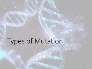 Types of Mutation
11