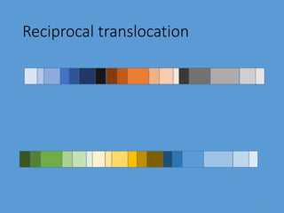 Reciprocal translocation
14