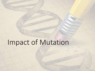 Impact of Mutation
20