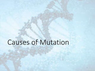 Causes of Mutation
5