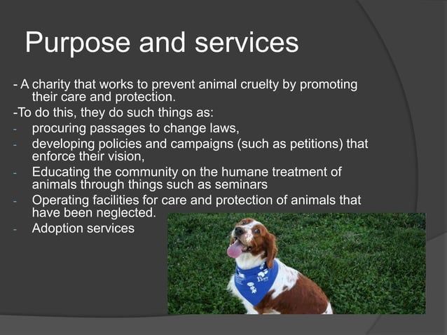 Rspca | PPTX | Crime & Harmful Acts to Individuals, Society & Human ...
