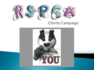Charity Campaign
 