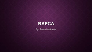 RSPCA
By: Tessa Matthews
 