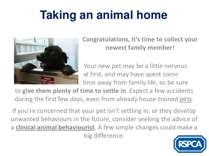 rspca behaviourist