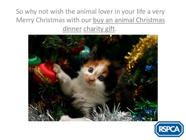 rspca charity christmas gifts rspca charity christmas gifts