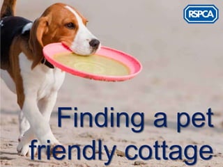 Finding a pet
friendly cottage
 