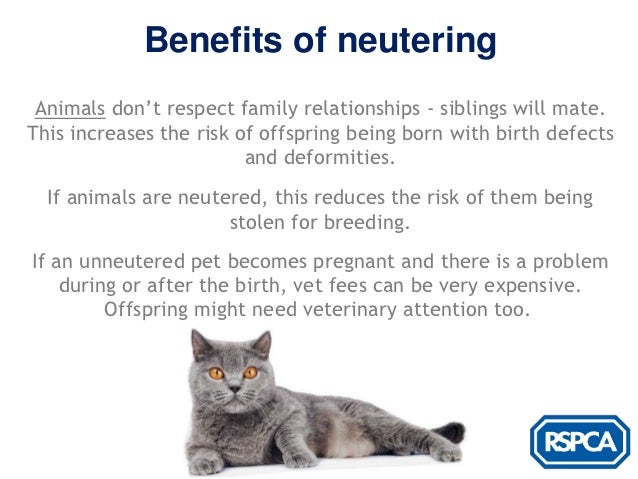 rspca neutering