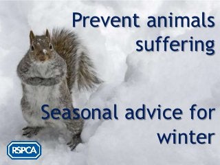 Prevent animals
         suffering


Seasonal advice for
            winter
 