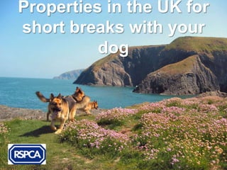Properties in the UK for
short breaks with your
          dog
 