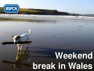 Weekend
break in Wales
 