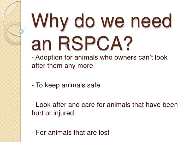 RSPCA How can we help?