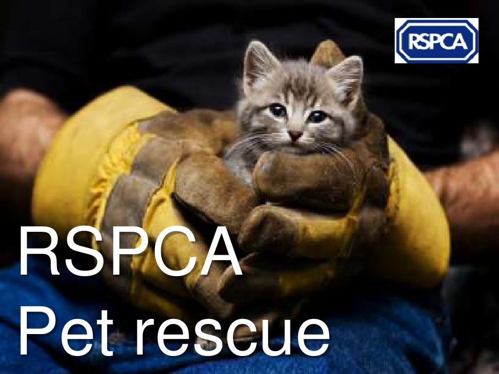 RSPCA Pet rescue