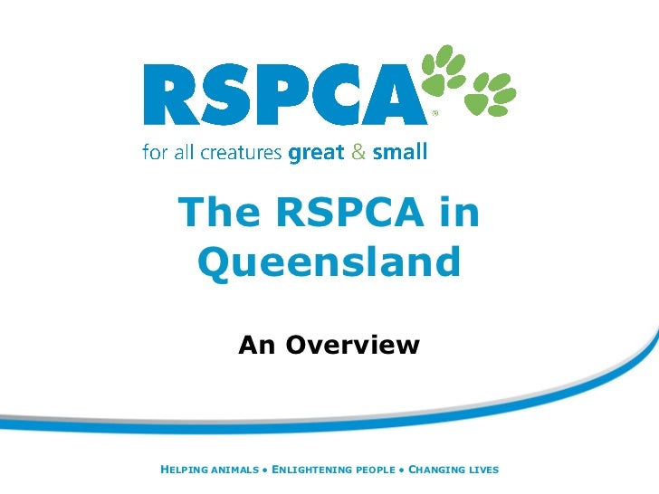 rspca qld lost and found