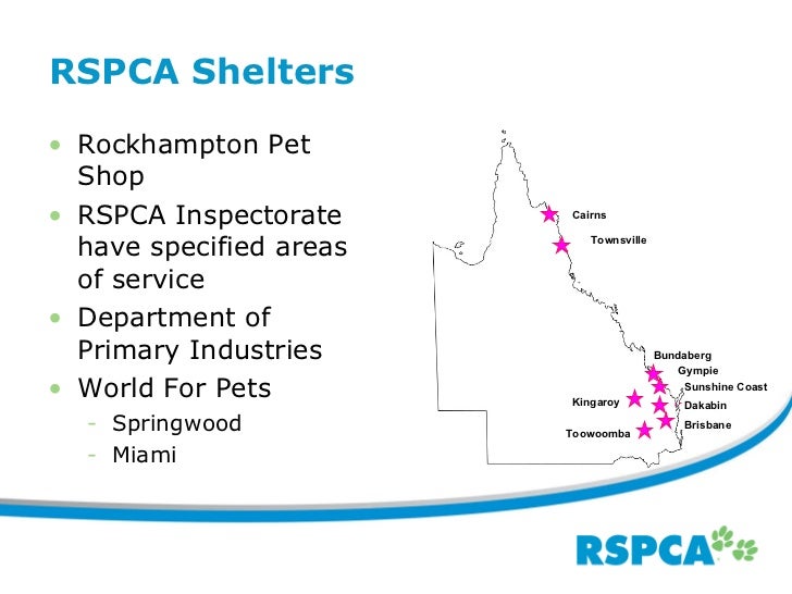 world for pets springwood