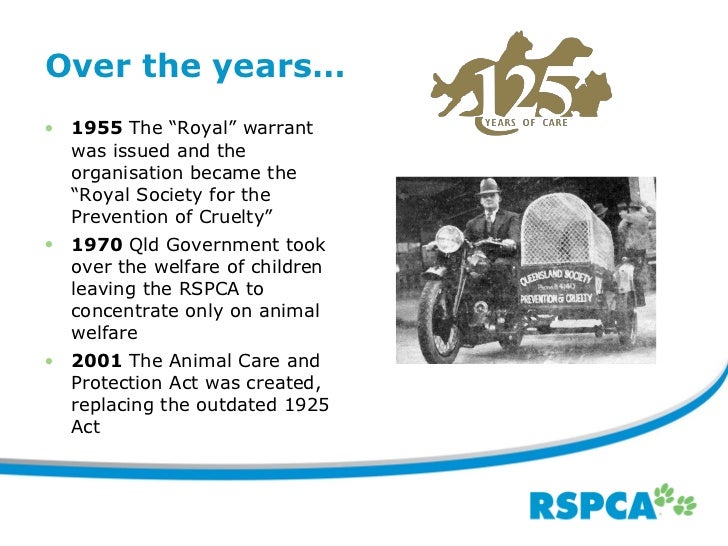 Rspca qld overview feb 2011