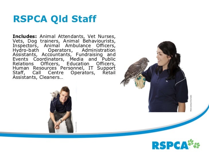 Rspca qld overview feb 2011