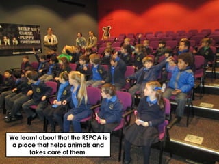 We learnt about that the RSPCA is
a place that helps animals and
takes care of them.
 