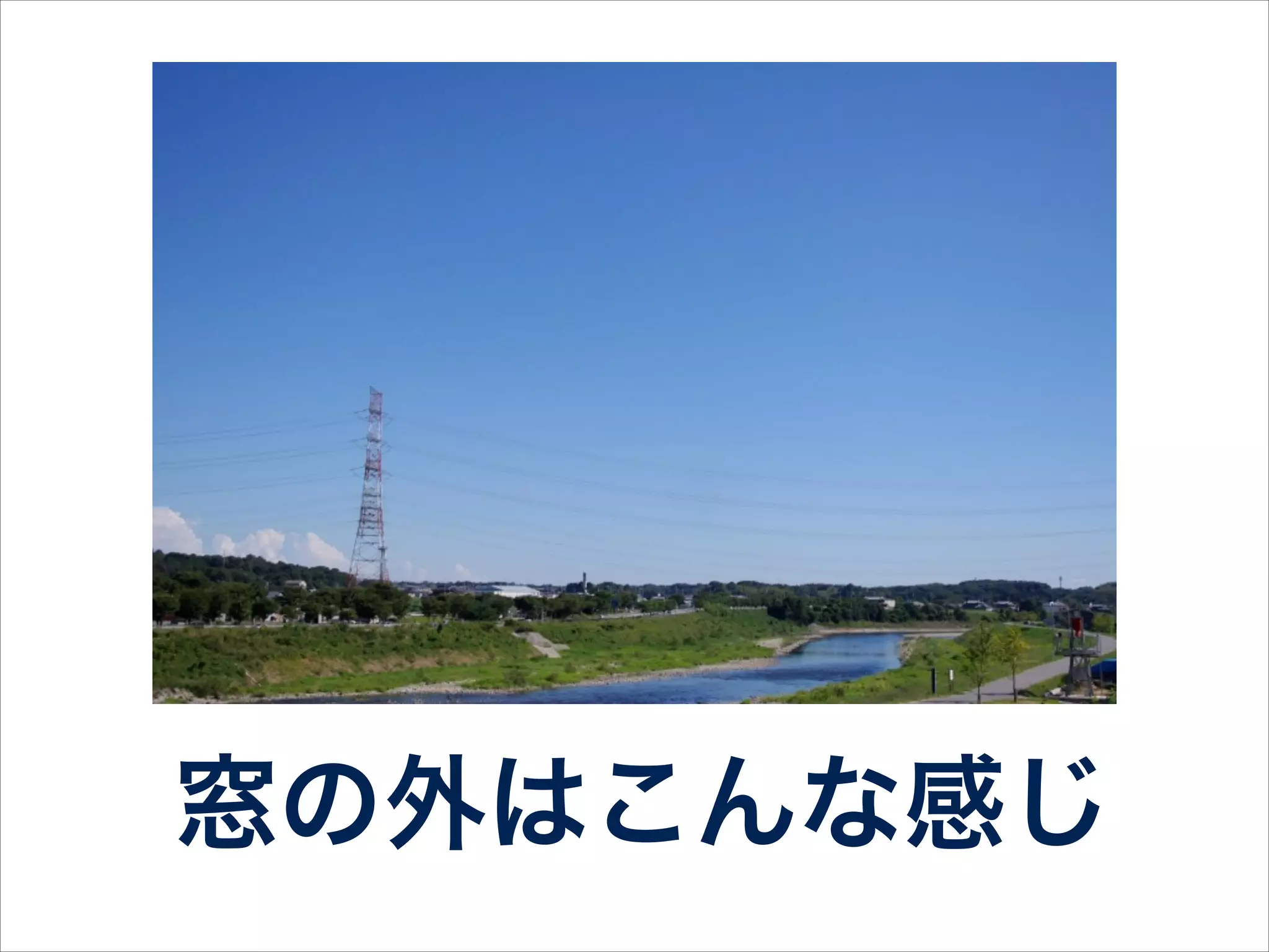 毎月Ruby勉強会も
やってます！
 