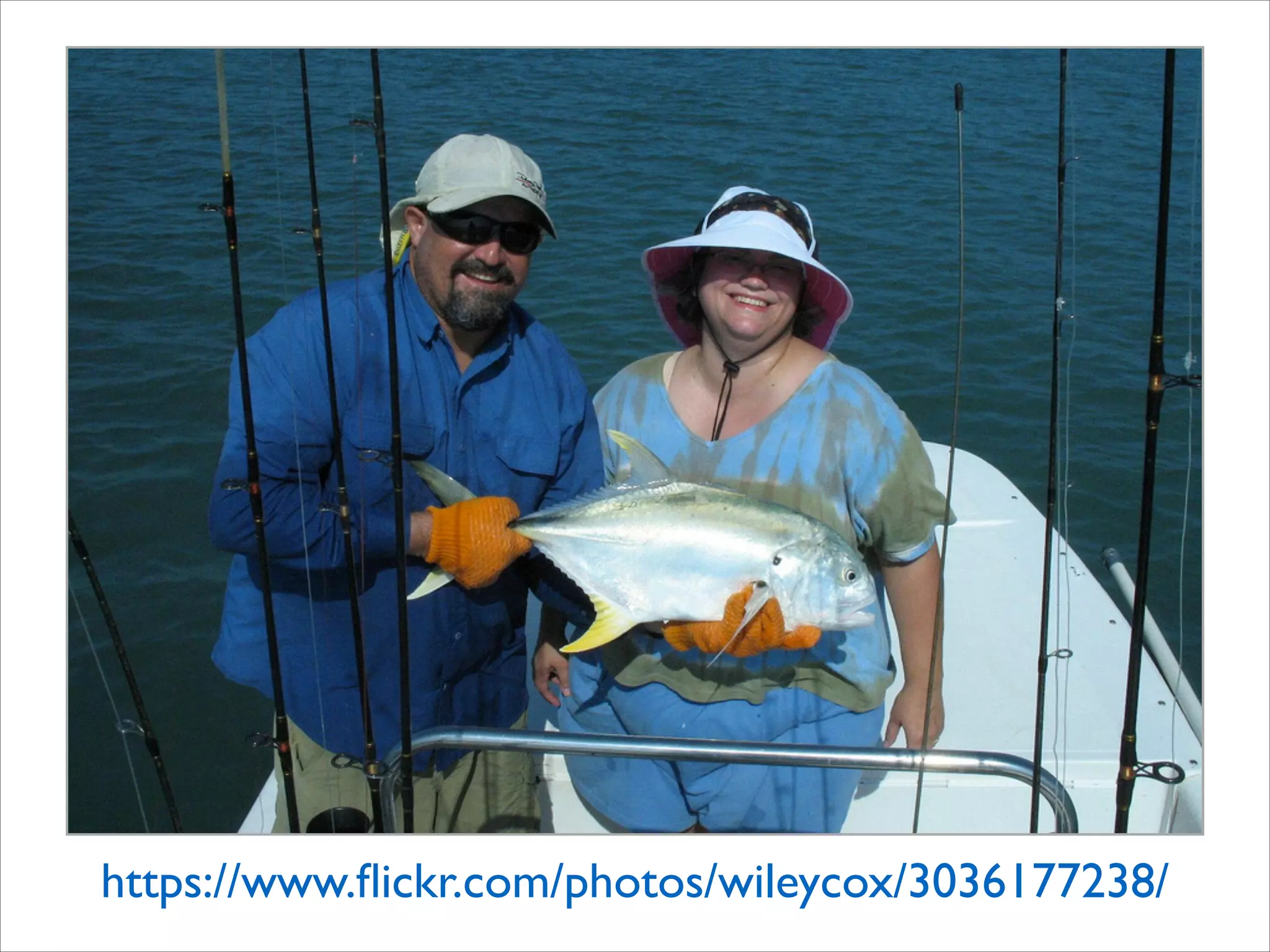 魚を与えるのではなく
魚の釣り方を覚える
 