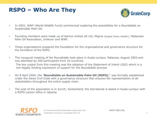 Palm Kernel Oil - Organic RSPO IP