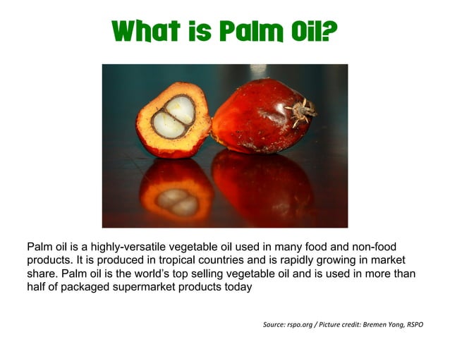 Gamification And Sustainable Palm Oil PPT