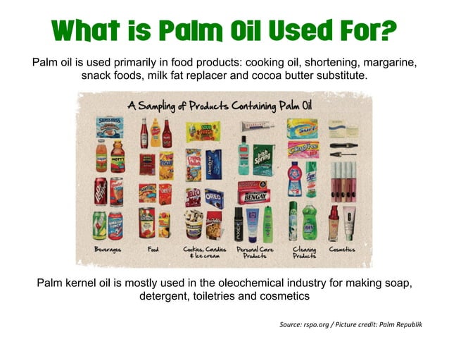 Gamification And Sustainable Palm Oil PPT