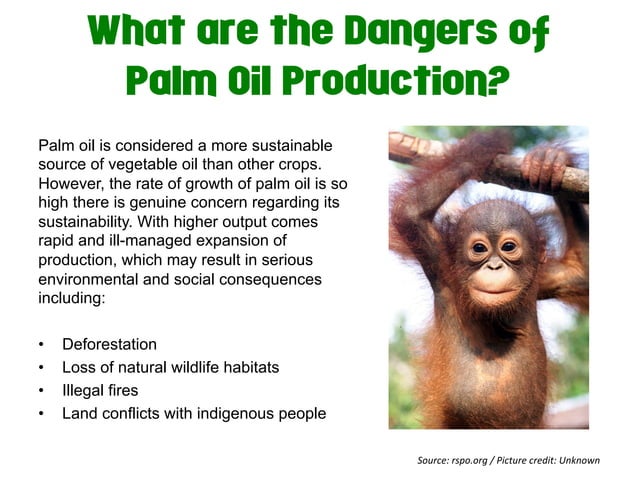 Gamification And Sustainable Palm Oil PPT