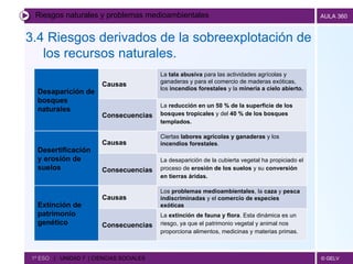Riesgos naturales y problemas medioambientales 3.4 Riesgos derivados de la sobreexplotación de los recursos naturales.    1º ESO  |  UNIDAD 7  | CIENCIAS SOCIALES   La  extinción de fauna y flora . Esta dinámica es un riesgo, ya que el patrimonio vegetal y animal nos proporciona alimentos, medicinas y materias primas. Consecuencias Los  problemas medioambientales , la  caza  y  pesca indiscriminadas  y el  comercio de especies exóticas Causas Extinción de patrimonio genético La desaparición de la cubierta vegetal ha propiciado el proceso de  erosión de los suelos  y su  conversión en tierras áridas. Consecuencias Ciertas  labores agrícolas y ganaderas  y los  incendios forestales . Causas Desertificación y erosión de suelos La  reducción en un 50 % de la superficie de los bosques tropicales  y del  40 % de los bosques templados. Consecuencias La  tala abusiva  para las actividades agrícolas y ganaderas y para el comercio de maderas exóticas, los  incendios forestales  y la  minería a cielo abierto. Causas Desaparición de bosques naturales 