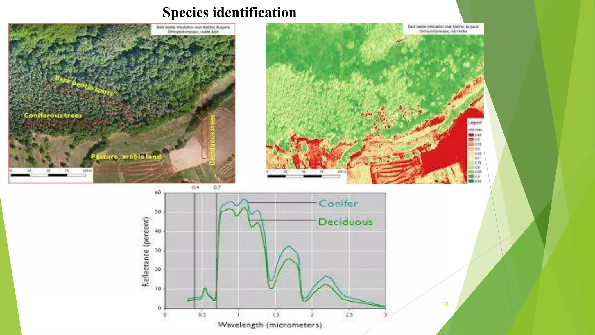 Species identification
12
 