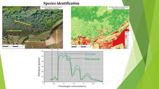 Application of remote sensing | PPTX