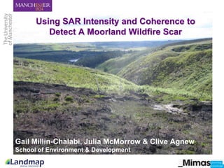 Using SAR Intensity and Coherence to
Detect A Moorland Wildfire Scar
 