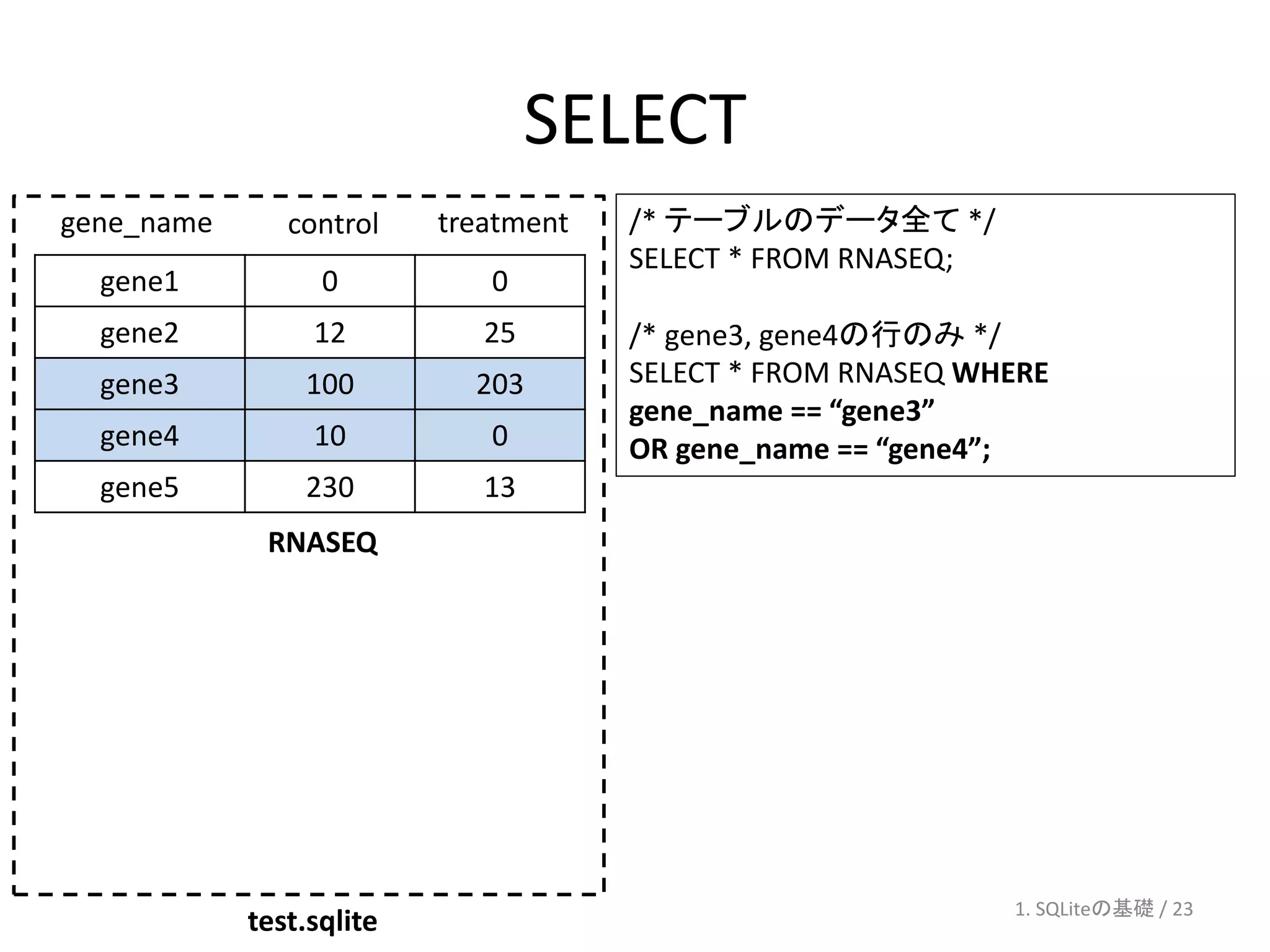 SELECT
gene_name      control    treatment   /* テーブルのデータ全て */
                                      SELECT * FROM RNASEQ;
  gene1           0          0
  gene2          12          25       /* gene3, gene4の行のみ */
  gene3         100         203       SELECT * FROM RNASEQ WHERE
                                      gene_name == “gene3”
  gene4          10          0        OR gene_name == “gene4”;
  gene5         230          13
             RNASEQ




                                                              1. SQLiteの基礎 / 23
            test.sqlite
 