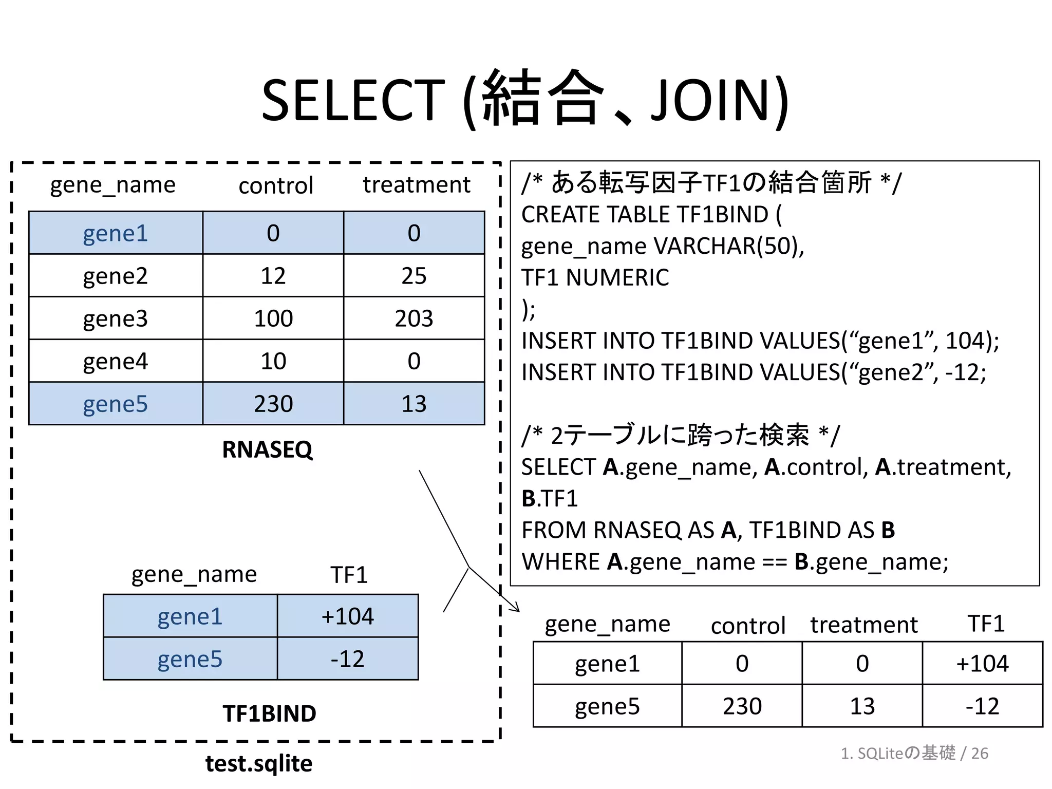 SELECT (結合、JOIN)
gene_name         control      treatment   /* ある転写因子TF1の結合箇所 */
                                           CREATE TABLE TF1BIND (
  gene1             0              0       gene_name VARCHAR(50),
  gene2             12             25      TF1 NUMERIC
  gene3            100             203     );
                                           INSERT INTO TF1BIND VALUES(“gene1”, 104);
  gene4             10             0       INSERT INTO TF1BIND VALUES(“gene2”, -12;
  gene5            230             13
                                           /* 2テーブルに跨った検索 */
              RNASEQ
                                           SELECT A.gene_name, A.control, A.treatment,
                                           B.TF1
                                           FROM RNASEQ AS A, TF1BIND AS B
     gene_name                             WHERE A.gene_name == B.gene_name;
                            TF1
          gene1             +104             gene_name     control treatment        TF1
          gene5             -12                gene1         0         0           +104
              TF1BIND                          gene5        230        13           -12
                                                                      1. SQLiteの基礎 / 26
             test.sqlite
 