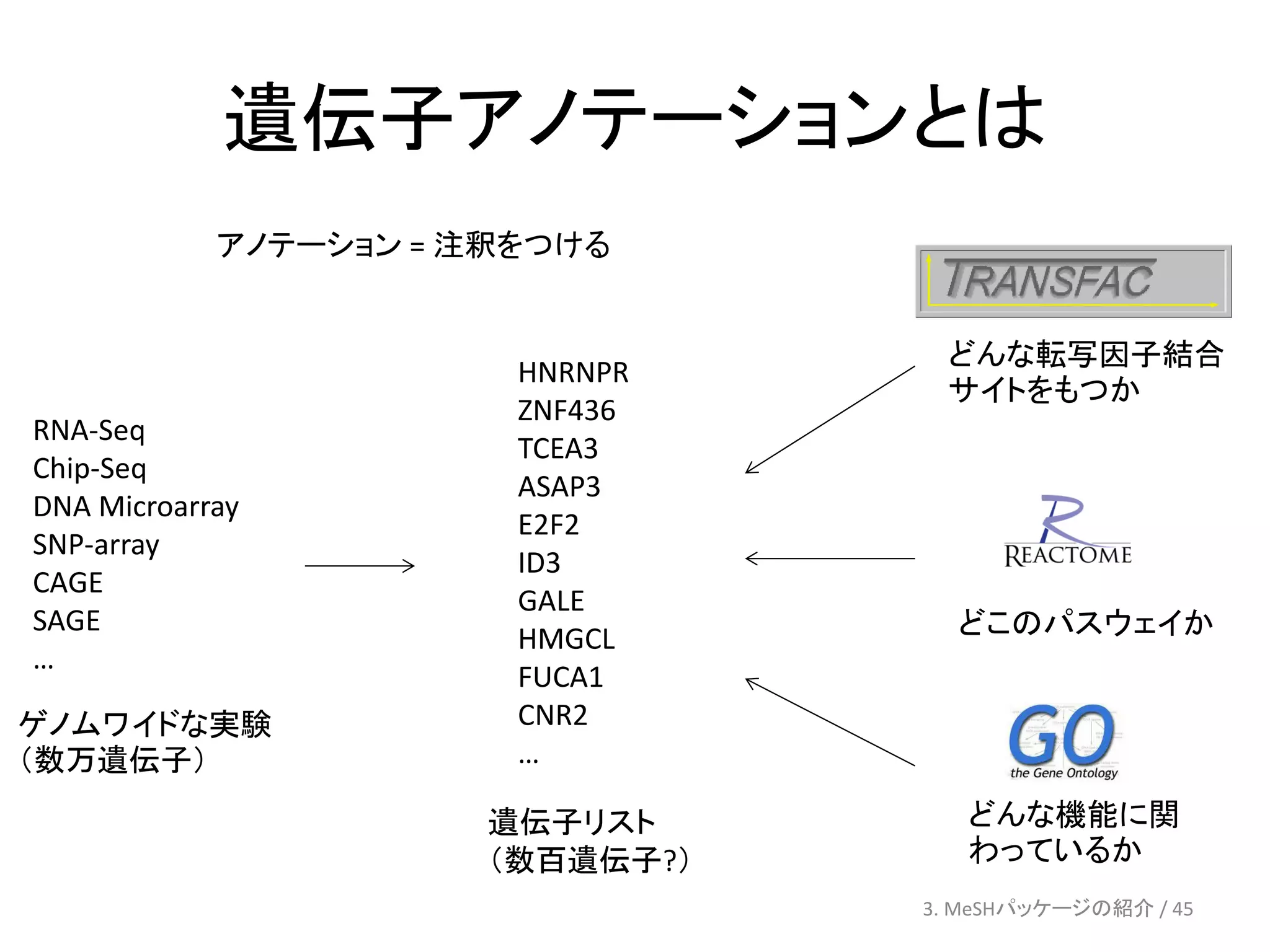遺伝子アノテーションとは
            アノテーション = 注釈をつける


                                  どんな転写因子結合
                        HNRNPR
                                  サイトをもつか
                        ZNF436
RNA-Seq
                        TCEA3
Chip-Seq
                        ASAP3
DNA Microarray
                        E2F2
SNP-array
                        ID3
CAGE
                        GALE
SAGE                               どこのパスウェイか
                        HMGCL
…
                        FUCA1
ゲノムワイドな実験               CNR2
（数万遺伝子）                 …

                      遺伝子リスト        どんな機能に関
                      （数百遺伝子?）      わっているか
                                 3. MeSHパッケージの紹介 / 45
 