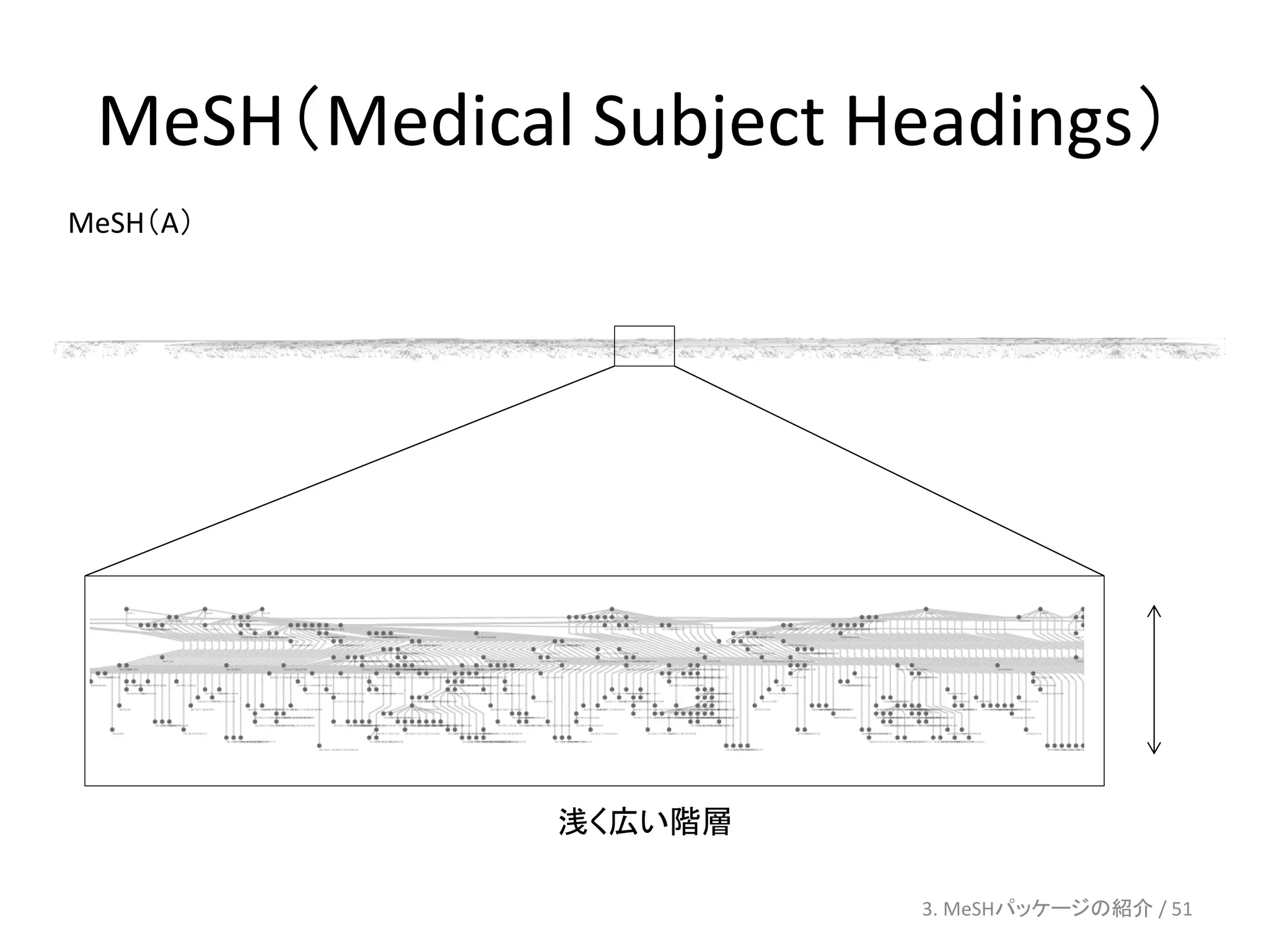 MeSH（Medical Subject Headings）
MeSH（A）




             浅く広い階層

                        3. MeSHパッケージの紹介 / 51
 