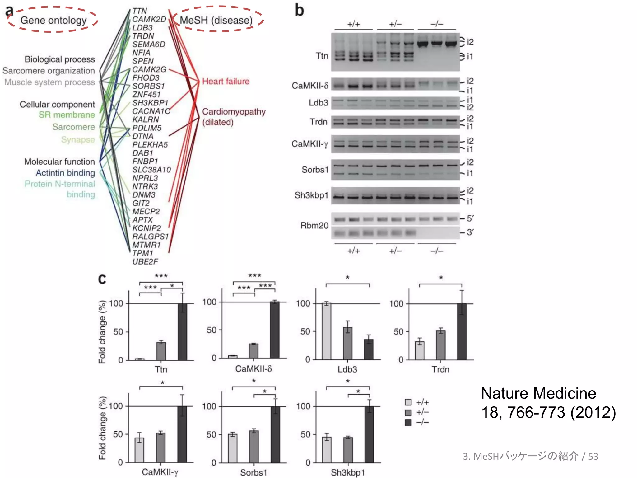 Nature Medicine
  18, 766-773 (2012)

3. MeSHパッケージの紹介 / 53
 