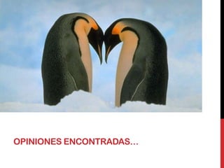 OPINIONES ENCONTRADAS…
 