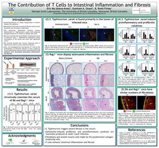 The Contribution of T Cells to Intestinal Inflammation and Fibrosis
                                                                                             Eric Ma (Asava-Aree) , Guntram A. Grassl , B. Brett Finlay    1                            1                        1

                                                                               1
                                                                                Michael Smith Laboratories, The University of British Columbia, Vancouver, British Columbia
                                                                                                                              ericasav@interchange.ubc.ca; guntram@msl.ubc.ca; bfinlay@interchange.ubc.ca                                      Rag vs B6 Cytokine Graphs.pzf:TNF-a Timecourse graph - Wed Aug 13 14:33:08 2008
                                                                                                                                                                                                                                                                                                                                      Rag vs B6 Cytokine Graphs.pzf:IL-6 Timecourse graph - Wed Aug 13 14:42:




                                    Introduction                                                  (2) S. Typhimurium DaroA is found primarily in the lumen of                                                        (4) S. Typhimurium DaroA induces
•Instestinal fibrosis is a major complication in Crohn’s                                                                infected ceca                                                                                 proinflammatory and profibrotic
 Disease (CD) patients.1                                                                                                          Uninfected Control                                        Day 14
•Mechanisms that lead to intestinal fibrosis and stricture                                                                   B6                          Rag1-/-              B6                      Rag1-/-
                                                                                                                                                                                                                                 cytokines
 formation are still poorly understood.                                                                                                                                                                                                                   TNF-α                                                                                    IL-6
•The    bacterium      Salmonella     enterica   serovar
                                                                                                                                                                                                                                                Rag vs B6 Cytokine Graphs.pzf:IL-17 Timecourse graph - Wed Aug 13 14:17:01 2008
                                                                                                                                                                                                                             12                                                                                     100                Rag vs B6 Cytokine Graphs.pzf:IFN-g Timecourse graph - Wed Aug 13 13:
                                                                                                                                                                                                                             11

 Typhimurium (S. Typhimurium) causes food poisoning                                                                                                                                                                          10




                                                                                                                                                                                                                     Induction




                                                                                                                                                                                                                                                                                                       Induction
                                                                                                                                                                                                                              9                                                                                       75
                                                                                                                                                                                                                              8
 and gastroenteritis in millions of people each year.




                                                                                                                                                                                                                       Fold
                                                                                                                                                                                                                              7




                                                                                                                                                                                                                                                                                                         Fold
                                                                                                                                                                                                                              6                                                                                       50
                                                                                                                                                                                                                              5
•Mice pre-treated with the antibiotic streptomycin prior                                                                                                                                                                      4
                                                                                                                                                                                                                              3                                                                                       25
 to infection with S. Typhimurium experience heavy                                                                                                                                                                            2
                                                                                                                                                                                                                              1
                                                                                                                                                                                                                              0                                                                                         0
 colonization of the cecum and colon with significant




                                                                                                                                                                                                                                       l




                                                                                                                                                                                                                                                                     1

                                                                                                                                                                                                                                                                     3

                                                                                                                                                                                                                                                                     5
                                                                                                                                                                                                                                      1

                                                                                                                                                                                                                                      3

                                                                                                                                                                                                                                      5

                                                                                                                                                                                                                                                                      l




                                                                                                                                                                                                                                                                                                                              l




                                                                                                                                                                                                                                                                                                                                                                1

                                                                                                                                                                                                                                                                                                                                                                        3

                                                                                                                                                                                                                                                                                                                                                                               5
                                                                                                                                                                                                                                                                                                                                  1

                                                                                                                                                                                                                                                                                                                                           3

                                                                                                                                                                                                                                                                                                                                                  5

                                                                                                                                                                                                                                                                                                                                                          l
                                                                                                                                                                                                                                     tr




                                                                                                                                                                                                                                                                    tr




                                                                                                                                                                                                                                                                                                                            tr




                                                                                                                                                                                                                                                                                                                                                        tr
                                                                                                                                                                                                                                                                   k

                                                                                                                                                                                                                                                                   k

                                                                                                                                                                                                                                                                   k
                                                                                                                                                                                                                                    k

                                                                                                                                                                                                                                    k

                                                                                                                                                                                                                                    k
                                                                                                                                                                                                                                   C




                                                                                                                                                                                                                                                                  C




                                                                                                                                                                                                                                                                                                                                                               k

                                                                                                                                                                                                                                                                                                                                                                      k

                                                                                                                                                                                                                                                                                                                                                                             k
                                                                                                                                                                                                                                                                                                                                  k

                                                                                                                                                                                                                                                                                                                                         k

                                                                                                                                                                                                                                                                                                                                                k
                                                                                                                                                                                                                                                                                                                         C




                                                                                                                                                                                                                                                                                                                                                       C
 colitis.2




                                                                                                                                                                                                                                                                 W

                                                                                                                                                                                                                                                                 W

                                                                                                                                                                                                                                                                 W
                                                                                                                                                                                                                                  W

                                                                                                                                                                                                                                  W

                                                                                                                                                                                                                                  W




                                                                                                                                                                                                                                                                                                                                                             W

                                                                                                                                                                                                                                                                                                                                                                    W

                                                                                                                                                                                                                                                                                                                                                                           W
                                                                                                                                                                                                                                                                                                                                 W

                                                                                                                                                                                                                                                                                                                                       W

                                                                                                                                                                                                                                                                                                                                              W
                                                                                                                                                                                                                                                B6                    Rag1-/-                                                         B6                    Rag1-/-
•We recently showed that chronic infections with S.                                                                                        S. Typhimurium     MPO
 Typhimurium lead to severe intestinal fibrosis.3                                                                                                                                                                                                            IL-17                                                                                     IFN-γ
                                                                                                Fig. 2: Salmonella (Salmonella LPS, red) and neutrophils (myeloperoxidase (MPO), green) were primarily                                         Rag vs B6 Cytokine Graphs.pzf:MCP-1 Timecourse graph - Wed Aug 13 13:33:56 2008


•Here, we investigated the contribution of T cells to the                                       found in the lumen of ceca at 14 days post-infection (p.i.). Uninfected controls shown for comparison.
                                                                                                                                                                                                                                 70
                                                                                                                                                                                                                                 60
                                                                                                                                                                                                                                                                                                                       450
                                                                                                                                                                                                                                                                                                                       400
                                                                                                                                                                                                                                                                                                                                      Rag vs B6 Cytokine Graphs.pzf:IGF-1 Timecourse graph - Wed Aug 13 14:2




                                                                                                                                                                                                                                                                                                       Induction
 development of intestinal fibrosis in mice caused by




                                                                                                                                                                                                                     Induction
                                                                                                DAPI staining of nuclei shown in blue. L = Lumen, M = Mucosa.                                                                    50
                                                                                                                                                                                                                                                                                                                       350
                                                                                                                                                                                                                                                                                                                       300
 chronic Salmonella-induced colitis, and found that T-cell




                                                                                                                                                                                                                                                                                                         Fold
                                                                                                                                                                                                                       Fold
                                                                                                                                                                                                                                 40                                                                                    250

 deficient mice developed attenuated inflammation                                                                                                                                                                                30
                                                                                                                                                                                                                                 20
                                                                                                                                                                                                                                                                                                                       200
                                                                                                                                                                                                                                                                                                                       150

 and fibrosis.
                                                                                                     (3) Rag1 mice display attenuated inflammation and fibrosis
                                                                                                                                                                                                                                                                                                                       100
                                                                                                                                  -/-                                                                                            10
                                                                                                                                                                                                                                                                                                                        50
                                                                                                                                                                                                                                  0                                                                                      0




                                                                                                                                                                                                                                      l

                                                                                                                                                                                                                                               1

                                                                                                                                                                                                                                                      3

                                                                                                                                                                                                                                                             5

                                                                                                                                                                                                                                                                     l

                                                                                                                                                                                                                                                                           1

                                                                                                                                                                                                                                                                                   3

                                                                                                                                                                                                                                                                                         5




                                                                                                                                                                                                                                                                                                                             l




                                                                                                                                                                                                                                                                                                                                                                  1

                                                                                                                                                                                                                                                                                                                                                                         3

                                                                                                                                                                                                                                                                                                                                                                                5
                                                                                                                                                                                                                                                                                                                                      1

                                                                                                                                                                                                                                                                                                                                             3

                                                                                                                                                                                                                                                                                                                                                    5

                                                                                                                                                                                                                                                                                                                                                           l
                                                                                                                                                                                                                                      tr




                                                                                                                                                                                                                                                                   tr
     Experimental Approach




                                                                                                                                                                                                                                                                                                                             tr




                                                                                                                                                                                                                                                                                                                                                          tr
                                                                                                                                                                                                                                           k

                                                                                                                                                                                                                                                    k

                                                                                                                                                                                                                                                           k



                                                                                                                                                                                                                                                                           k

                                                                                                                                                                                                                                                                                 k

                                                                                                                                                                                                                                                                                       k




                                                                                                                                                                                                                                                                                                                                                                k

                                                                                                                                                                                                                                                                                                                                                                       k

                                                                                                                                                                                                                                                                                                                                                                               k
                                                                                                                                                                                                                                                                                                                                  k

                                                                                                                                                                                                                                                                                                                                           k

                                                                                                                                                                                                                                                                                                                                                  k
                                                                                                                                                                                                                                  C




                                                                                                                                                                                                                                                                  C




                                                                                                                                                                                                                                                                                                                            C




                                                                                                                                                                                                                                                                                                                                                        C
                                                                                                                                                                                                                                           W

                                                                                                                                                                                                                                                   W

                                                                                                                                                                                                                                                          W



                                                                                                                                                                                                                                                                       W

                                                                                                                                                                                                                                                                               W

                                                                                                                                                                                                                                                                                     W




                                                                                                                                                                                                                                                                                                                                                               W

                                                                                                                                                                                                                                                                                                                                                                      W

                                                                                                                                                                                                                                                                                                                                                                             W
                                                                                                                                                                                                                                                                                                                                  W

                                                                                                                                                                                                                                                                                                                                         W

                                                                                                                                                                                                                                                                                                                                                W
                                                                                                                                             Masson’s Trichrome                               H&E                                                  B6                   Rag1-/-                                                         B6                      Rag1-/-
                                                                                                                                        B6                     Rag1-/-             B6                  Rag1-/-
                                                                                                                                                                                                                                                          MCP-1                                                                                   IGF-1
                                                                                                                                                                                                                                 45                                                                                    5.5
                                                                                                                                                                                                                                 40                                                                                    5.0




                                                                                                                                                                                                                     Induction




                                                                                                                                                                                                                                                                                                       Induction
                                                                                                                                                                                                                                 35                                                                                    4.5
                                                                                                                                                                                                                                 30                                                                                    4.0




                                                                                                                                                                                                                       Fold
                                                                                                                                                                                                                                                                                                                       3.5




                                                                                                                                                                                                                                                                                                         Fold
                                                                                                                                                                                                                                 25                                                                                    3.0
                                                                                                                      50X




                                                              Harvest Organs
                                                                                                Uninfected Controls




                                                                                                                                                                                                                                 20                                                                                    2.5
                                                                                                                                                                                                                                 15                                                                                    2.0
                                                                                                                                                                                                                                                                                                                       1.5
                                                                                                                                                                                                                                 10
             Day ‐1                Day 0    Day 7       Day 14    Day 21     Day 28   Day 35                                                                                                                                      5
                                                                                                                                                                                                                                                                                                                       1.0
                                                                                                                                                                                                                                                                                                                       0.5
         Oral      Infection with                                                                                                                                                                                                 0                                                                                    0.0
     pretreatment S. Typhimurium             Homogenize tissue / enumerate bacteria




                                                                                                                                                                                                                                      l




                                                                                                                                                                                                                                                                           1

                                                                                                                                                                                                                                                                                 3

                                                                                                                                                                                                                                                                                       5
                                                                                                                                                                                                                                               1

                                                                                                                                                                                                                                                      3

                                                                                                                                                                                                                                                            5

                                                                                                                                                                                                                                                                   l




                                                                                                                                                                                                                                                                                                                             l

                                                                                                                                                                                                                                                                                                                                     1

                                                                                                                                                                                                                                                                                                                                            3

                                                                                                                                                                                                                                                                                                                                                   5



                                                                                                                                                                                                                                                                                                                                                                  1

                                                                                                                                                                                                                                                                                                                                                                         3

                                                                                                                                                                                                                                                                                                                                                                                5
                                                                                                                                                                                                                                                                                                                                                           l
                                                                                                                                                                                                                                      tr




                                                                                                                                                                                                                                                                  tr




                                                                                                                                                                                                                                                                                                                             tr




                                                                                                                                                                                                                                                                                                                                                          tr
                                                                                                                                                                                                                                                                        k

                                                                                                                                                                                                                                                                               k

                                                                                                                                                                                                                                                                                     k
                                                                                                                                                                                                                                           k

                                                                                                                                                                                                                                                    k

                                                                                                                                                                                                                                                          k




                                                                                                                                                                                                                                                                                                                                  k

                                                                                                                                                                                                                                                                                                                                           k

                                                                                                                                                                                                                                                                                                                                                  k



                                                                                                                                                                                                                                                                                                                                                                k

                                                                                                                                                                                                                                                                                                                                                                       k

                                                                                                                                                                                                                                                                                                                                                                              k
                                                                                                                                                                                                                                  C




                                                                                                                                                                                                                                                                C




                                                                                                                                                                                                                                                                                                                            C




                                                                                                                                                                                                                                                                                                                                                        C
                                                                                                                                                                                                                                                                       W

                                                                                                                                                                                                                                                                             W

                                                                                                                                                                                                                                                                                   W
                                                                                                                                                                                                                                           W

                                                                                                                                                                                                                                                  W

                                                                                                                                                                                                                                                        W
          with




                                                                                                                                                                                                                                                                                                                                  W

                                                                                                                                                                                                                                                                                                                                         W

                                                                                                                                                                                                                                                                                                                                                W



                                                                                                                                                                                                                                                                                                                                                              W

                                                                                                                                                                                                                                                                                                                                                                     W

                                                                                                                                                                                                                                                                                                                                                                            W
                       ΔaroA
     streptomycin
                                             Histological stains: H&E, Masson's                                                                                                                                                                  B6                    Rag1-/-                                                          B6                    Rag1-/-
                                             Trichrome to evaluate inﬂammation/
            Treatment Groups:                intestinal ﬁbrosis                                                                                                                                                      Fig. 4: Induction of proinflammatory (TNF-α, IL-6,
                                                                                                                                                                                                                     IL-17, IFN-γ) and profibrotic (MCP-1, IGF-1) cytokines in
                                                                                                                      200X




            C57/Bl6 (B6) wild type
            control mice                     Immunoﬂuorescent staining to identify
                                             and localize cell types                                                                                                                                                 infected ceca was determined by real-time PCR. Data
            Rag1-/- mice that have
            no T and B cells
                                                                                                                                                                                                                     were normalized to GAPDH levels and are relative to an
                                             mRNA isolation to perform qPCR to                                                                                                                                       arbitrarily selected uninfected control.
                                             quantify cytokine expression



                                           Results                                                                                                                                                                        (5) B6 and Rag1 ceca have                                                           -/-

                                                                                                                                                                                                                         similar numbers of fibroblasts
                                                                                                                      50X




       (1) S. Typhimurium DaroA                                                                                                                                                                                                                         B6                                                                               Rag1-/-
    chronically colonizes the cecum
                                                                                                Day 35




         of B6 and Rag1 mice
                        -/-

                               day 7        day 14          day 21         day 28     day 35
                                                                                                                      200X
Bacterial Load (cfu)
 S. Typhimurium




                       10 9
                       10 8
                       10 7                                                                                                                                                                                                                           Vimentin                                α-Smooth Muscle Actin
                       10 6                                                                     Fig. 3: Masson’s Trichrome (MT) and Hematoxylin & Eosin (H&E) staining of mice ceca from uninfected
                       10 5
                                                                                                controls and day 35 infected B6 and Rag1-/- mice. MT staining indicates position of collagen deposition              Fig. 5: Distribution of mesenchymal cell types in ceca
                       10 4
                                                                                                (blue), while H&E staining reveals extent of inflammation and damage. L = Lumen, M = Mucosa, S =                     of B6 and Rag1-/- mice infected with S. Typhimurium 35
                       10 3
                                                                                                Submucosa. Note region of denser collagen deposition (black arrows) with greater edema in the submucosa              days p.i., differentiated by staining for fibroblast-specific
                       10 2
                       10 1                                                                     of B6 ceca compared to Rag1-/- ceca.                                                                                 vimentin (V) and α-smooth muscle actin (A) shown at
                       10 0                                                                                                                                                                                          400X magnification. Similar amounts of V+A- fibroblasts
                                                                                                                                                                                                                     (white arrow) were found in the submucosa and mucosa
                                     -




                                                    -




                                                                 -




                                                                               -




                                                                                           -
                              B6



                                           B6



                                                         B6



                                                                      B6



                                                                                    B6
                                    -/




                                                -/




                                                                 -/




                                                                               -/




                                                                                           -/
                               g1



                                             g1



                                                             g1



                                                                            g1



                                                                                       g1




                                                                                                                                                                                                                     of B6 and Rag1-/- ceca. S = Submucosa; M = Mucosa
                                                                                                                                                            Conclusions
                              Ra



                                           Ra



                                                           Ra



                                                                       Ra



                                                                                      Ra




Fig. 1: Bacterial counts of ceca and colons showing similar
                                                                                                •S. Typhimurium triggers severe fibrosis in the cecum.
                                                                                                                                                                                                                                                               References
colonization levels of B6 and Rag1-/- mice; cfu: colony
forming units.
                                                                                                •Salmonella-induced profibrotic and proinflammatory cytokines are                                                    1. Burke J. P., Mulsow J., O’Keane C. et. al. 2007. Fibrogenesis in
                                                                                                 maximally produced at week 3 post-infection.                                                                           Crohn’s disease. Am. J. Gastroenterol. 102(2):439-48.

                        Acknowledgments                                                         •Fibroblasts and smooth muscle cells might be the predominant collagen-
                                                                                                                                                                                                                     2. Coburn B., Li Y., Owen D. et. al. 2005. Salmonella enterica serovar
                                                                                                                                                                                                                        Typhimurium pathogenicity island 2 is necessary for complete
                                                                                                                                                                                                                        virulence in a mouse model of infectious enterocolitis. Infect.
                                                                                                 producing cells.                                                                                                       Immun. 73(6):3219-27
                                                                                                                                                                                                                     3. Grassl G. A., Valdez Y., Bergstrom K. S. B. et. al. 2008. Chronic
                                                                                                •T cells enhance intestinal inflammation and fibrosis                                                                   enteric Salmonella infection in mice leads to severe and persistent
                                                                                                                                                                                                                        intestinal fibrosis. Gastroenterology 134(3): 768-80.
 
